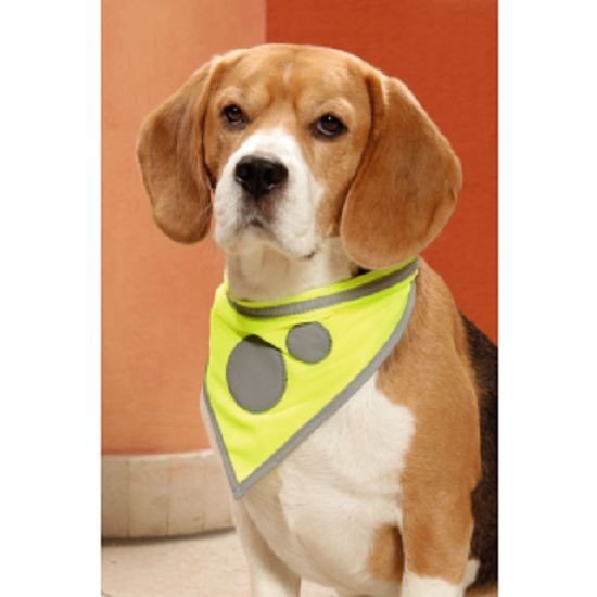 Safety Dog Sicherheits-Halstuch L: 24 - 30 cm B: 2 cm