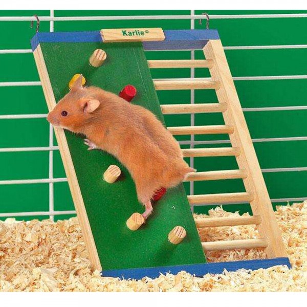 Wonderland Kletterleiter für Hamster und Mäuse aus Echtholz