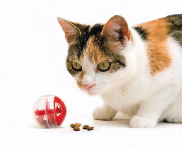 Snackball Twirly ø: 5.5 cm Katzenspielzeug
